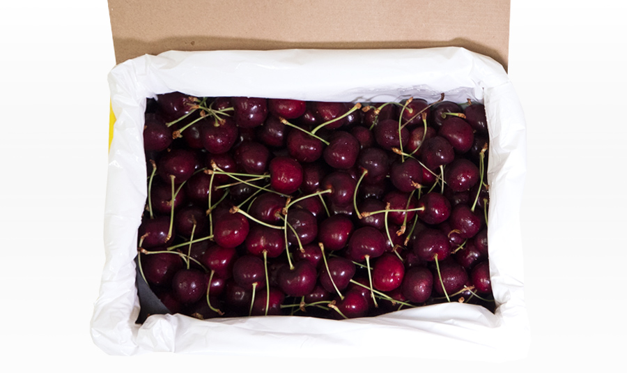 DD102 Gee Whiz Premium Dark Cherry EXPORT GRADE 2kg(US DELIVERY)